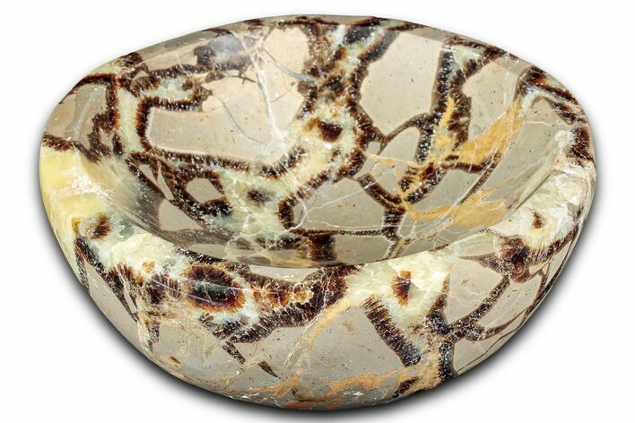 Polished Septarian Dish - Madagascar #337220